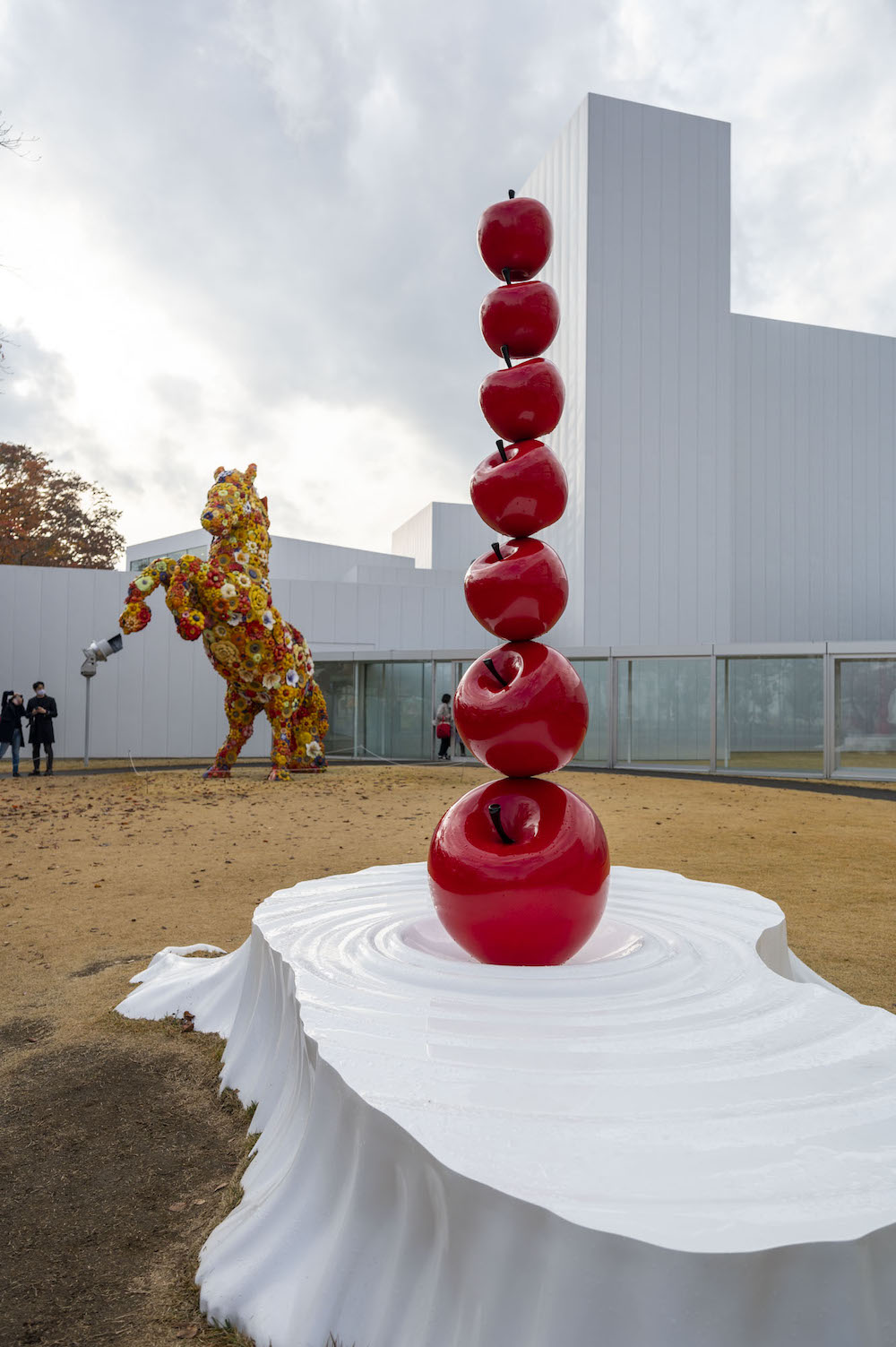 十和田市現代美術館 外観